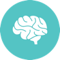Cortex